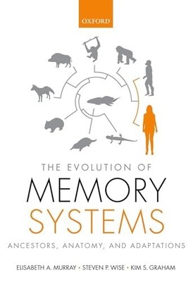 The Evolution of Memory Systems: Ances... by Graham, Kim S. Paperback / softback