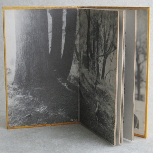 Take Me Home by Dare Wright 1965 1st Edition Hardcover Dust Jacket K*R 126 Doll - Picture 5 of 11