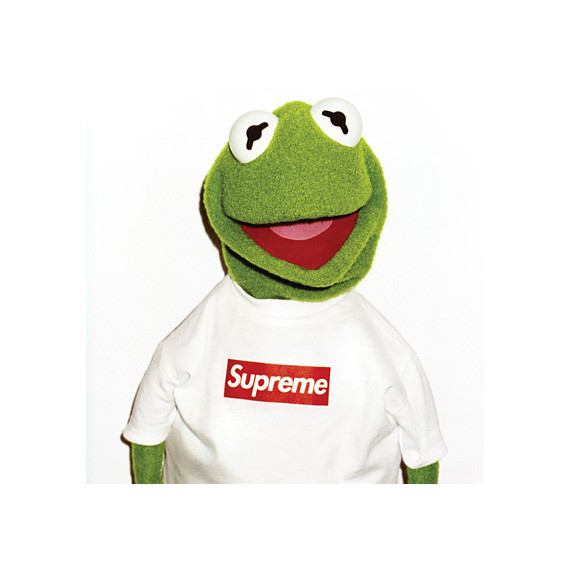 シュプリーム カーミットポスター 22x28 Print - Supreme x Kermit Urban Street Poster 0056 | eBay