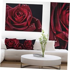 Red Rose with Raindrops on Black Flowers Canv...