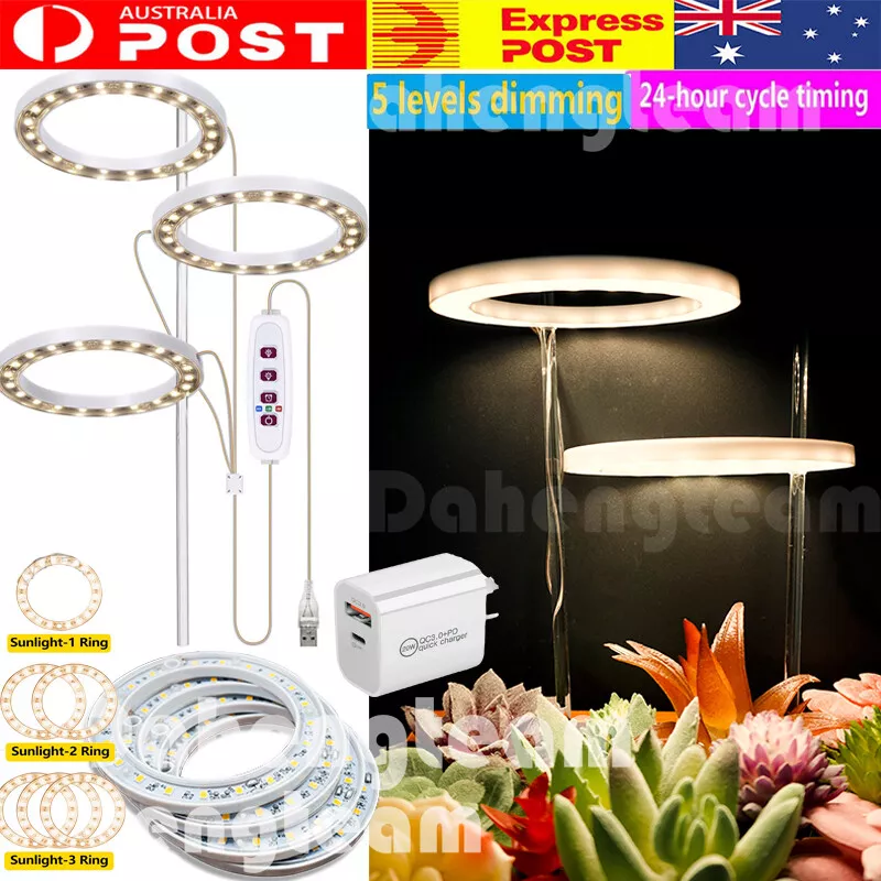 Indoor sunlight lamp deals