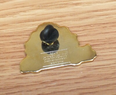 Disney Daytona 500 2004 Multi Tone Race Car Pin / Pinback / Lapel  display picture 1