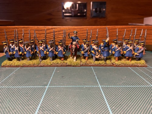 Napoleonic French Line lnfantry c 1809. 28mm Front Rank figures. More Fusiliers plus some Elite Company guys