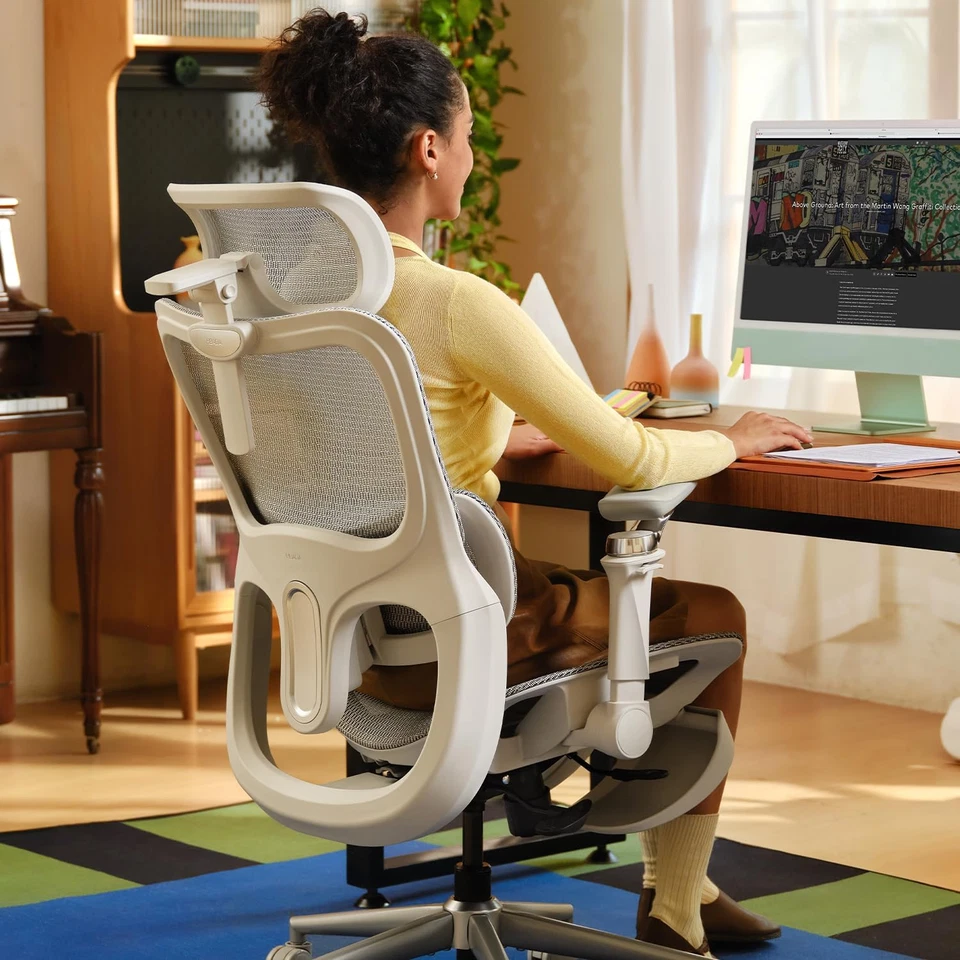 P2 Ultra Ergonomic Office Chair, Office Chair with 5D Lumbar Support, Mesh Ergon