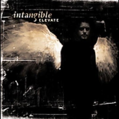 Audio Cd - Intangible - Elevate  - Cd Baby -D- Neu