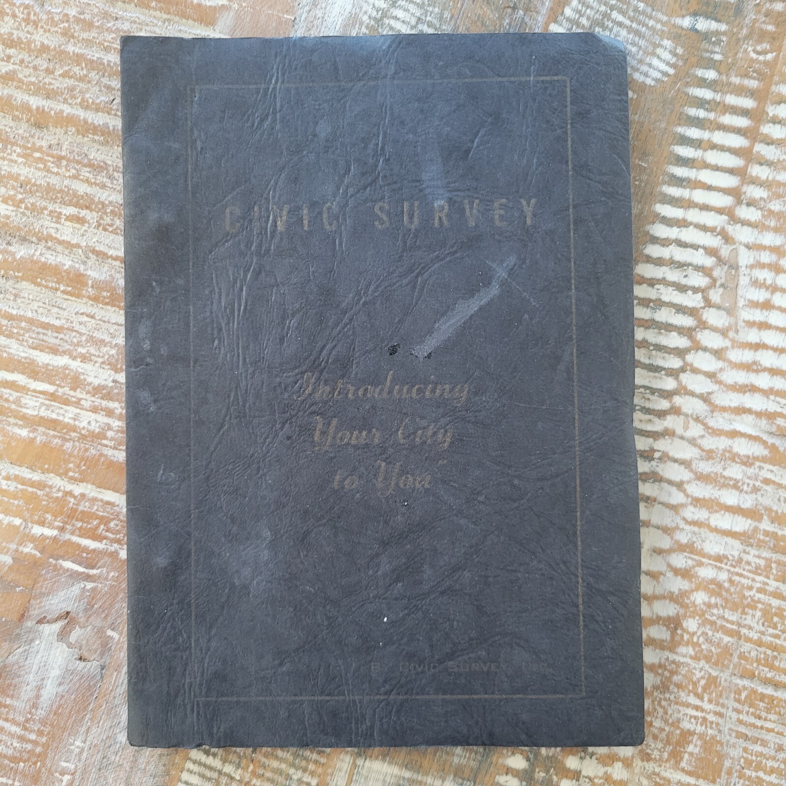 Surveyor Market Item for Sale