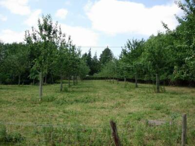 Foto 6x4 kleine Obstgarten Gelübde Kirche wahrscheinlich Lieferung eines der lokalen cid c2006