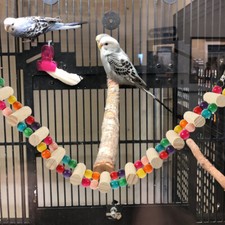 Parrot Colorful Ladder Natural Wood Bird Perchset Parakeet Climbing