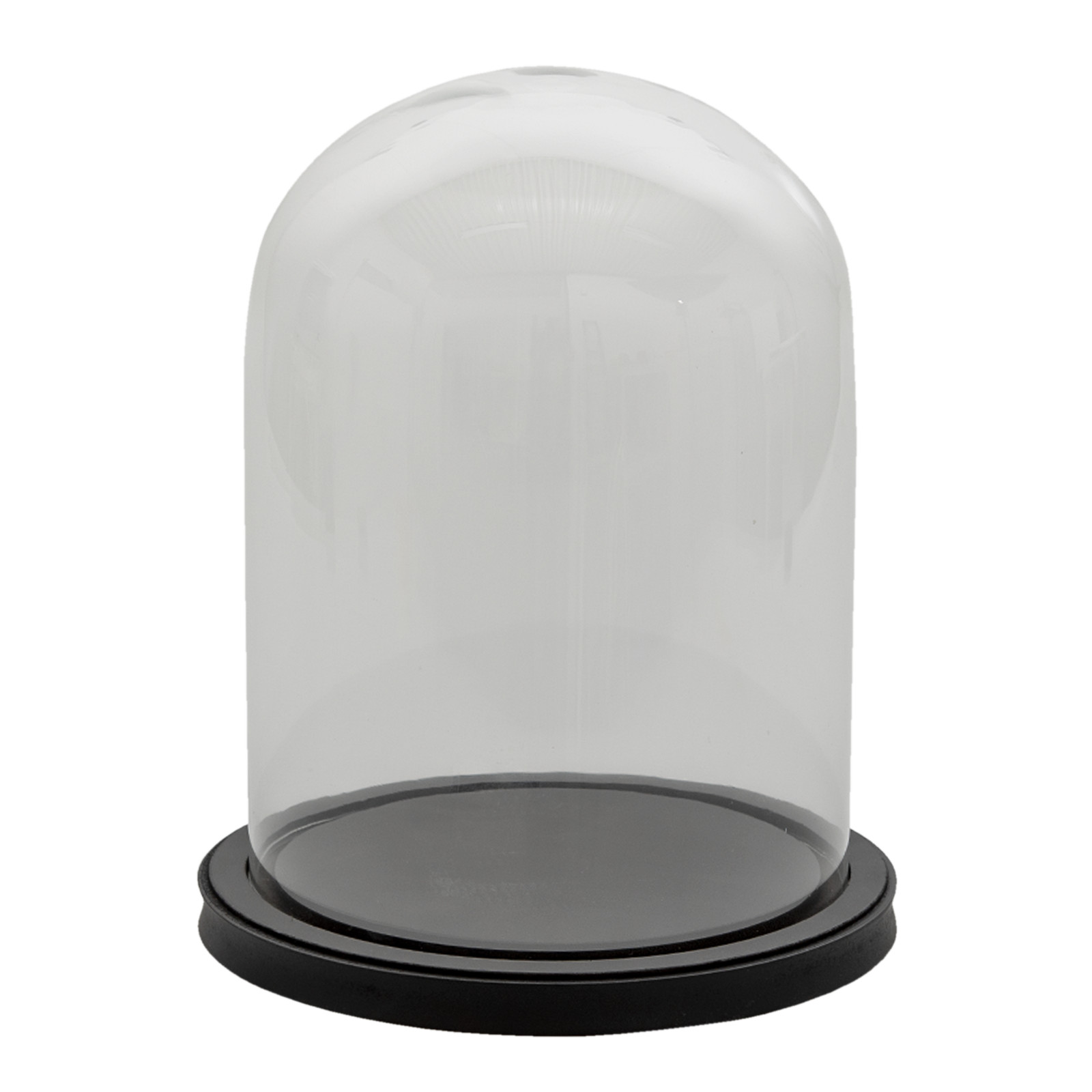Glass Display Cloche Bell Jar Dome Flower Preservation Vase Black Wood Base 29cm