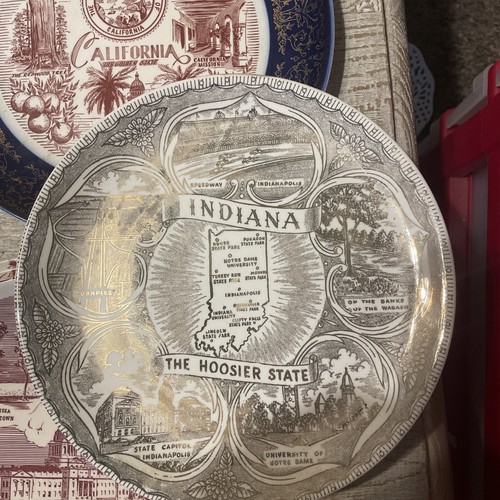 Bundle Of 19 Vintage Souvenir State Plates. Multiple States, Places And Sizes - Picture 6 of 24