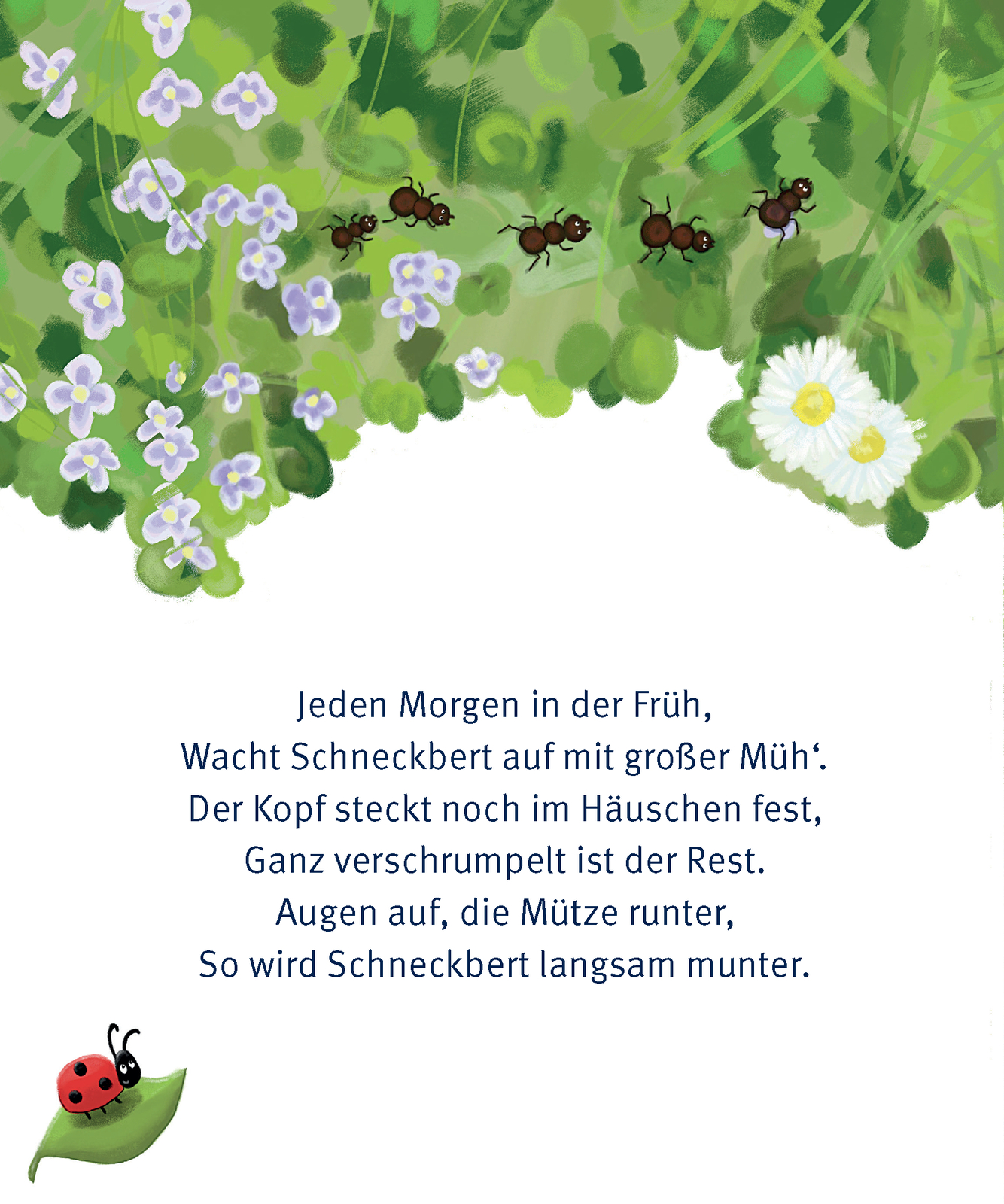 Thumbnail - Schneckbert Liebt Die Ruhe Susanne Von Halem