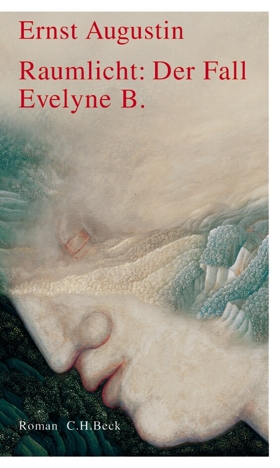 Ernst Augustin | Raumlicht: Der Fall Evelyne B. | Buch | Deutsch