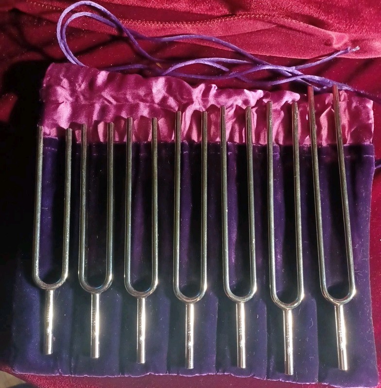 Set Of 7(oct)Wittner Piano Tuning Forks Purple Velvet Gustavo Wittner Germany 