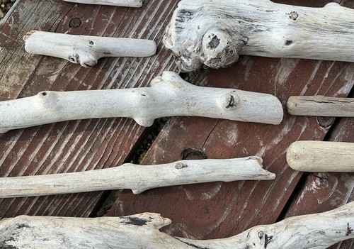 Oregon Driftwood Pieces - Over 25 Pieces For Crafts, Art, Aquarium, Decor - Picture 6 of 11