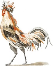 Rooster Prints by Ink Inc. Vintage Kitchen Decor Chicken Wall Art Boho ...