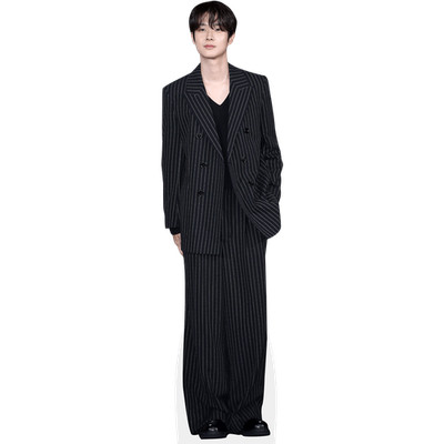Choi Woo-Shik (Stripes) Mini Size Cutout