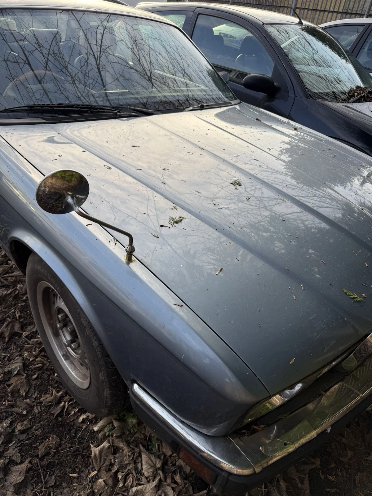 Jaguar Xj6 - Picture 4 of 7