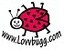 lovvbugg