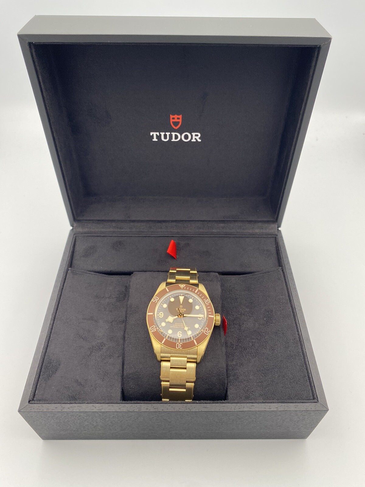 Watch Collection Tudor Watch Beckham David Beckham Wrist Watch