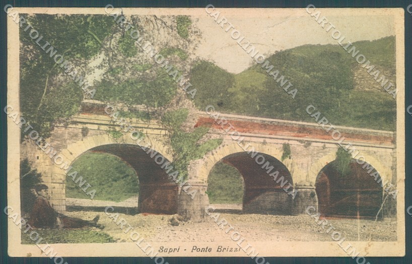 Salerno Sapri Ponte Brizzi PIEGATA cartolina JK1270