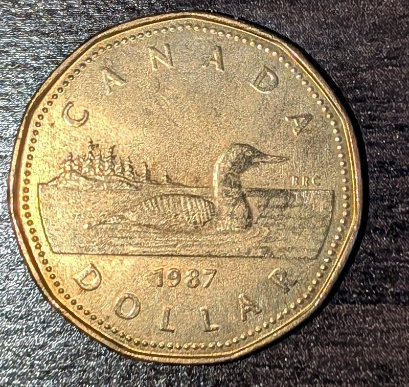1987 Canadian Loon Coin - featuring Elizabeth II