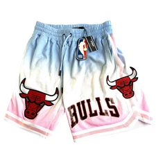 NWT Jordon Basketball Shorts Size XL Chicago Patch Champs Bulls  Blue/White/Pink