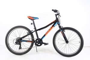 2017 giant xtc jr 24