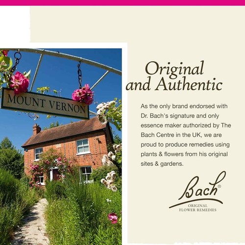 Bach Original Flower Remedies Elm Be Efficient 0.7 fl oz 20mL - Picture 8 of 9