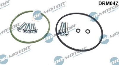 DR.MOTOR AUTOMOTIVE Reparatursatz Unterdruckpumpe (Bremsanlage) DRM047