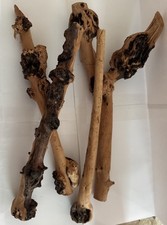 Reptile D cor Natural Forest Branch Terrarium Wood Aquarium Ornament, 4 Pack