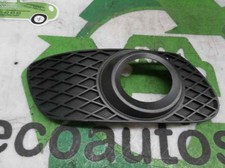 A1648851023 RECHTER STOßSTANGENGITTER / A1648851023 / 630973 FÜR MERCEDES-BENZ C