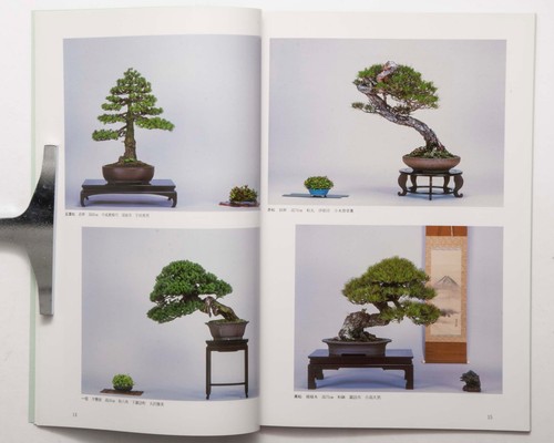 22. Shinshu Bonsai Meihin Ausstellung Fotobuch 1998 selten - Bild 5 von 12