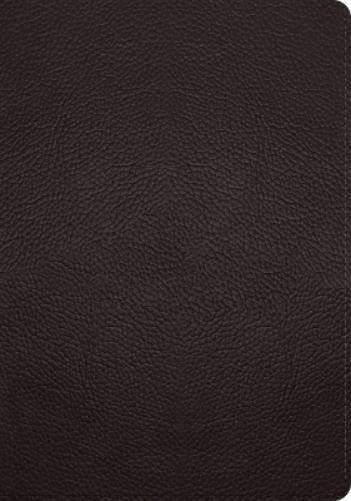 Thumbnail - Esv Single Column Journaling Bible, Large Print (leather Bound)