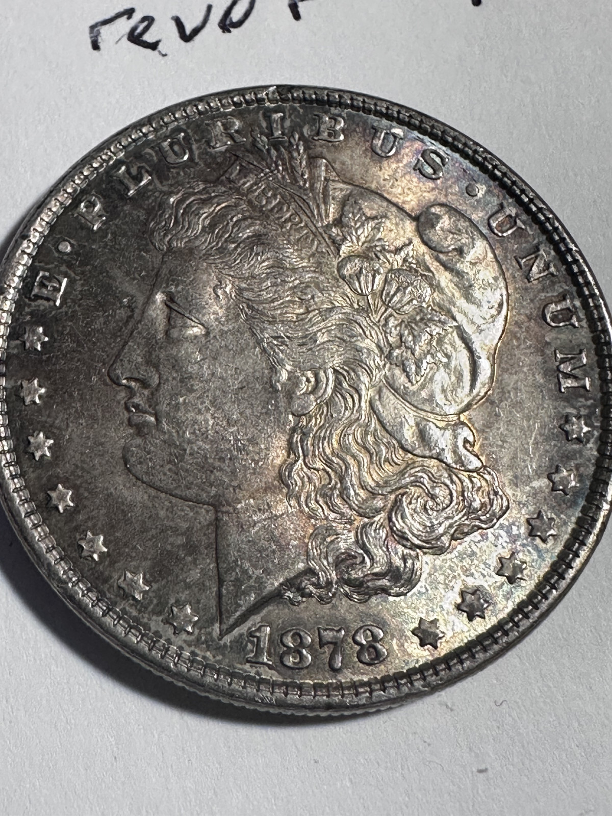 Picture 5 of 6
