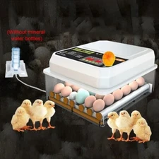 16 Eggs Automatic Hatching Machine Broiler Hatching Machine Egg Spinner