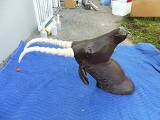 FAB LARGE VINTAGE 70'S STYLE WHIMSICAL CARVED WOODEN TROPHY FEMALE IBEX HEAD
