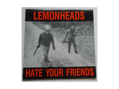 Lemonheads    Hate Your Friends - LP - Second pressing