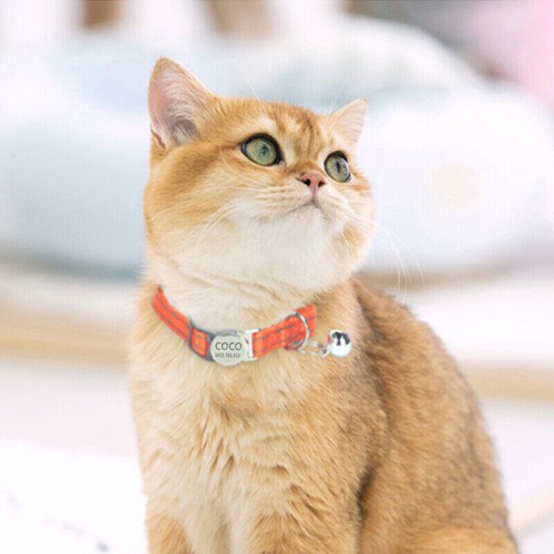 Reflective Adjustable Personalised Cat Collar with Custom Engraved Name Tag Bell - Picture 9 of 33
