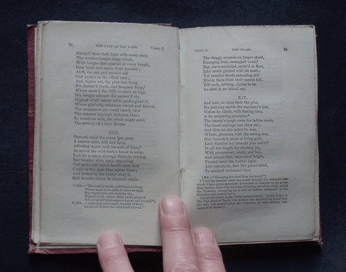 THE LADY OF THE LAKE by Sir Walter Scott, Bart: Scottish Poetry / Verse / 1859 - Imagen 7 de 9