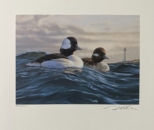 1993 NEW JERSEY - State Duck Stamp Print **BRUCE MILLER** MEDALLION Ed. #40 - Picture 2 of 8
