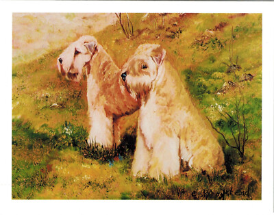 Soft-Coated Wheaten Terrier Pair Notecard Set - 6 Blank Note Cards Ruth Maystead