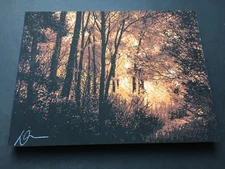 DAN MCCARTHY Breadcrumb Trail 001 screenprint on wood art SIGNED orange