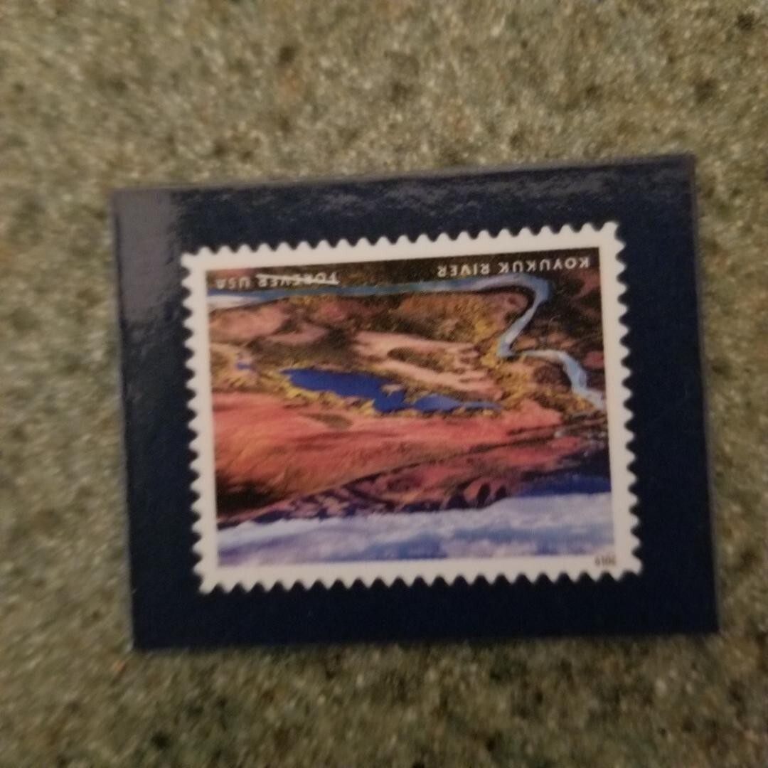 Picture 6 of 13