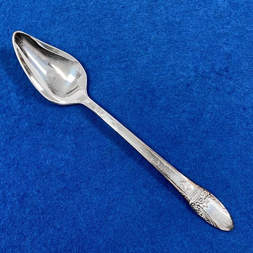 First Love Fruit Spoon / Citrus / Grapefruit Spoon by 1847 Rogers Silver-Plate - 第 1/1 張圖片