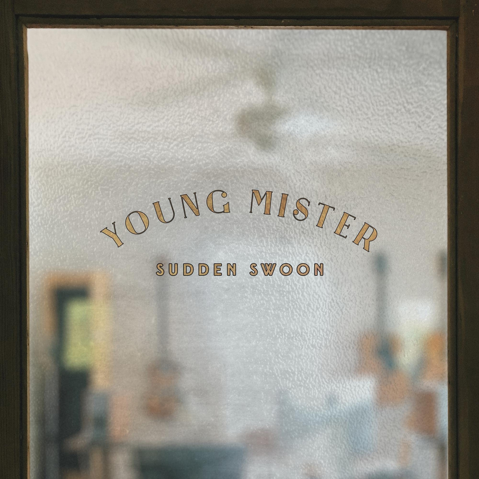 Young Mister Sudden Swoon (Vinyl LP)