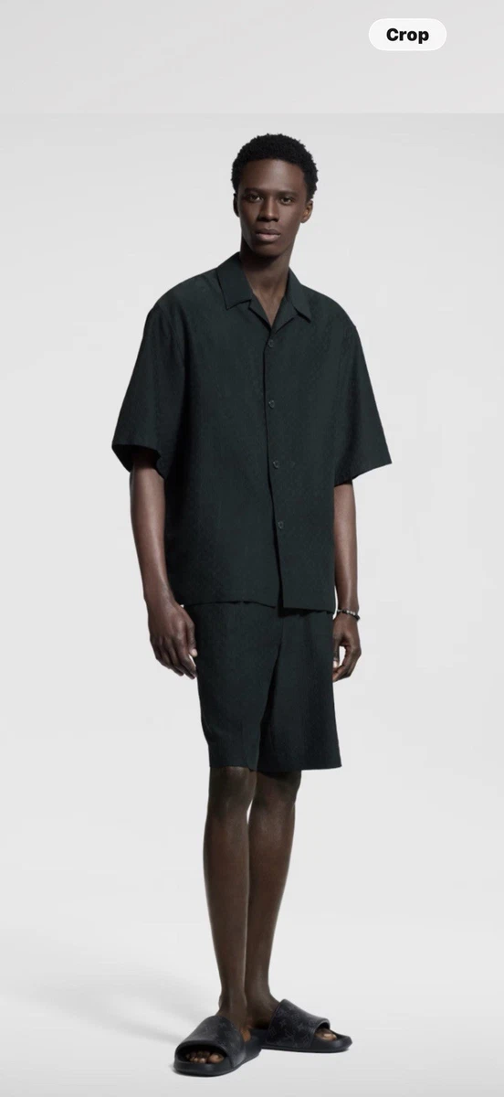 Louis Vuitton Silk Regular Size Casual Button-Down Shirts for Men