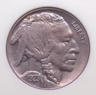 1923 "P" Indian Head BUFFALO Nickel 5c NGC MS64 #007 Unc BU ECC&C, Inc.