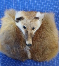 Fuchs, Pelz, Muff, Handwärmer, sehr guter Zu...