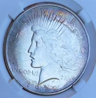 1922 Peace Dollar  Nice Rim Toning Philadelphia Mint-22