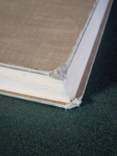 Websters New Collegiate Dictionary 1959 - Picture 4 of 13